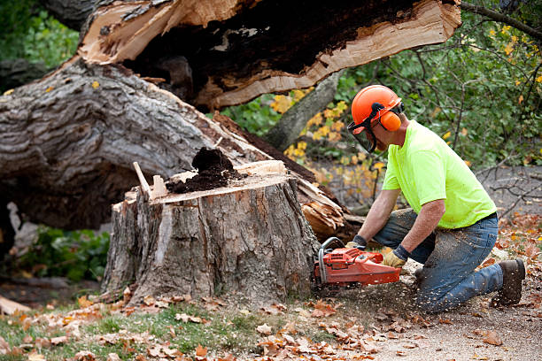 Mulching Services in Pleasant Hill, MS